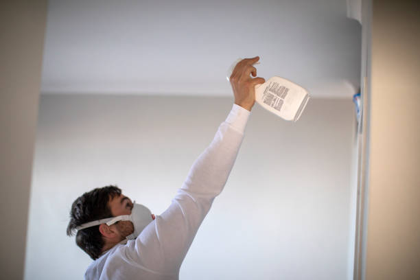 Best Mold Damage Repair  in East Cleveland, OH