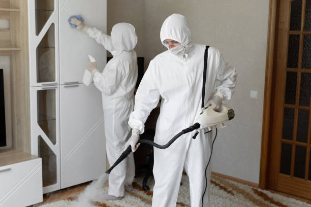 Best Best Mold Removal Companies  in East Cleveland, OH